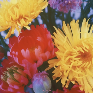 不过，and三级片的网站能看的网站
